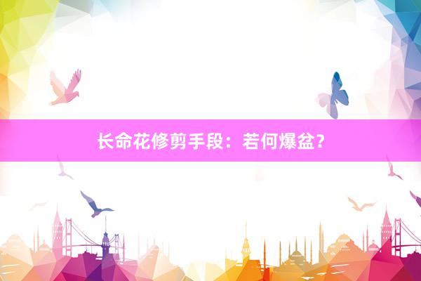 长命花修剪手段：若何爆盆？
