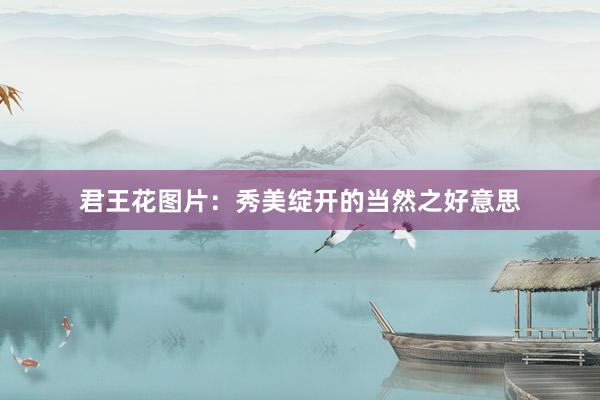 君王花图片：秀美绽开的当然之好意思