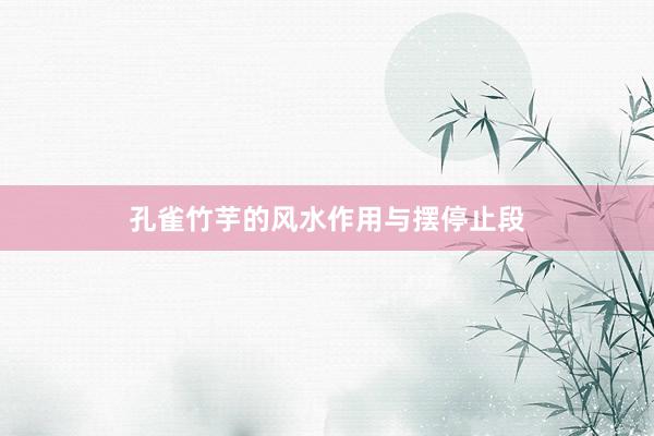 孔雀竹芋的风水作用与摆停止段