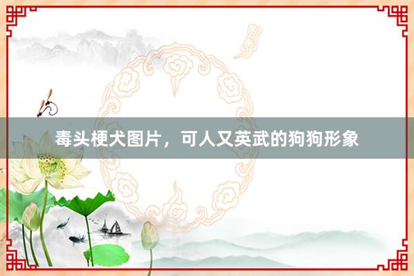 毒头梗犬图片，可人又英武的狗狗形象